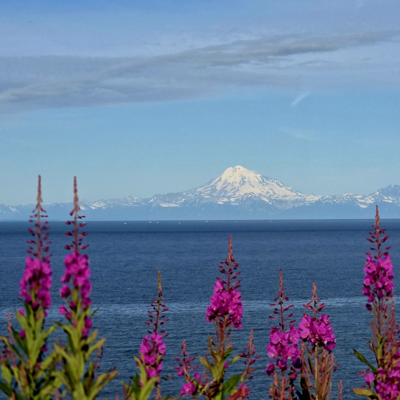 Cooks Inlet, Kenai, Alaska